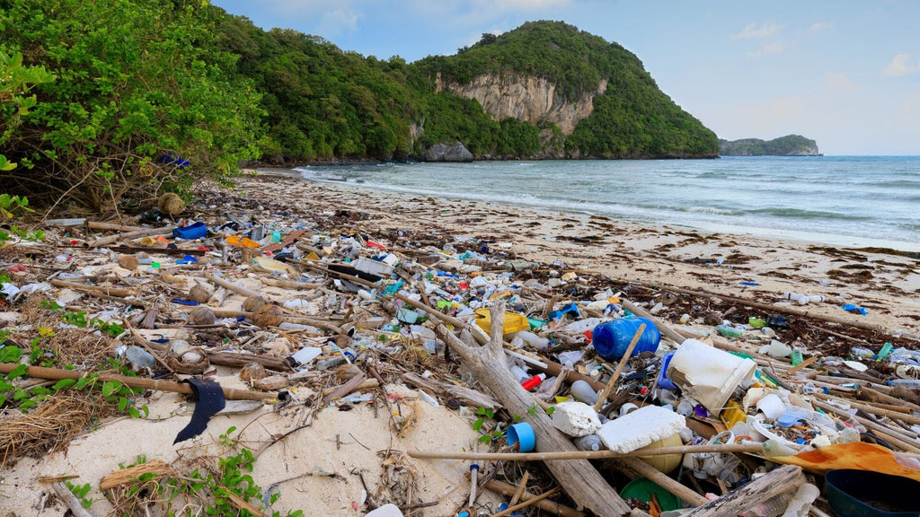Navigating the Plastic Pollution Crisis: Insights from the 5 Gyres Institute