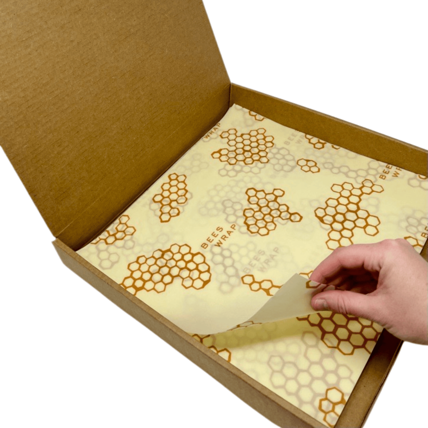 The Big Box Bee's Wrap 20 Large Wraps 