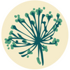 Herb Garden