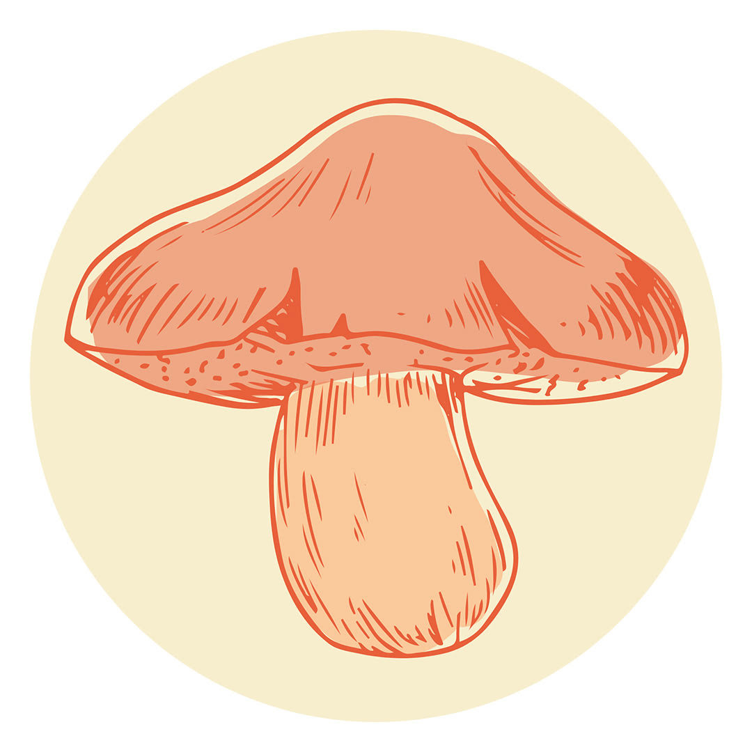 Mushroom Magic